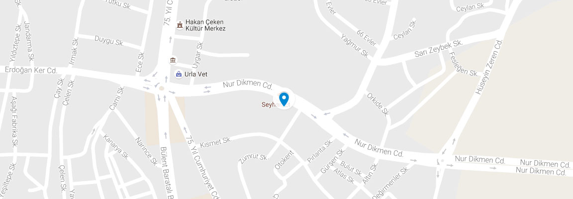 Google Map